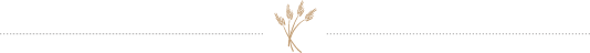 delimiter image